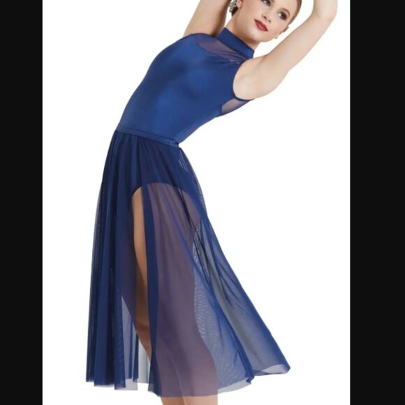 Weissman Lakehouse Navy Panel Dress Dance Costume Mesh Sz Adult Medium AM 12181 - Picture 1 of 16